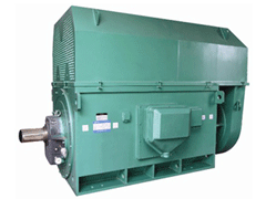 静安Y系列6KV高压电机品质保证